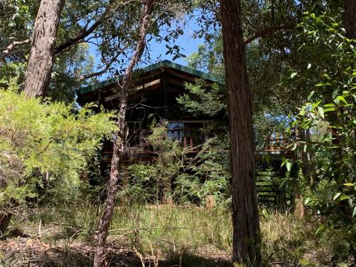 a log cabin obscured by trees in the woods at Rustic Spirit in Bilpin