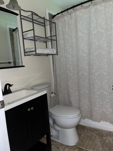 a bathroom with a toilet and a sink and a mirror at Gaia House in Annapolis