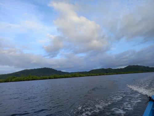 Mangrove park desa palaes – Photos 2