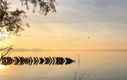 a group of cows in the water at sunset at Lovely Home In Lembruchdümmer See in Lembruch