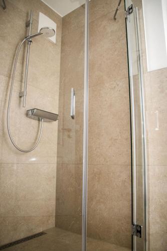 a shower with a glass door in a bathroom at Ferienhaus "Q" - Wohnung 3 in Zingst