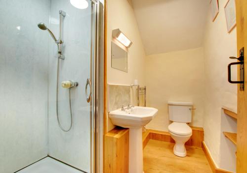 a bathroom with a toilet sink and a shower at Tyn Gaer in Llanfachreth