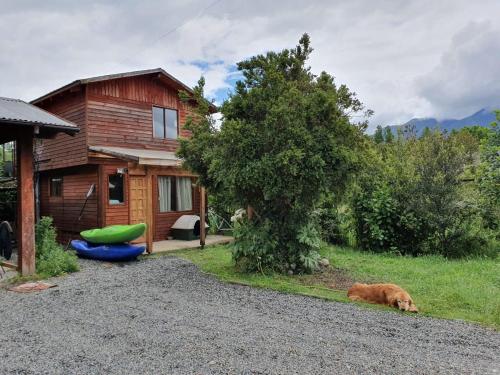 a dog laying in the grass next to a house at Cabaña con muro de escalada in Pucón