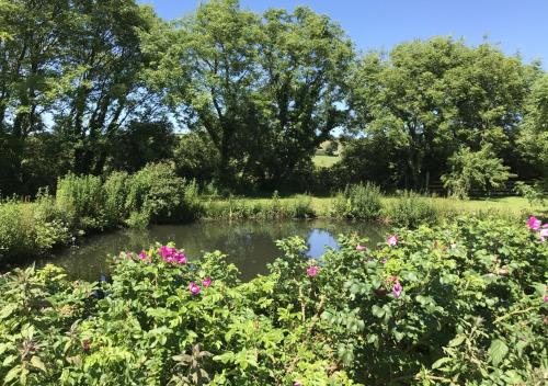 Wishing Well – Photos 5