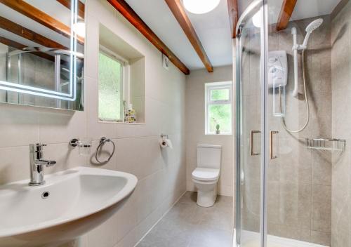 a bathroom with a shower and a sink and a toilet at Gors in Llanfair Caereinion