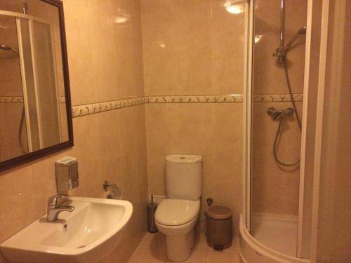 W łazience znajduje się toaleta, umywalka i prysznic. w obiekcie Pan Otaman w mieście Pisarevka