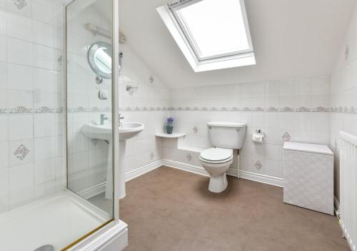 a bathroom with a toilet and a sink and a shower at Tyddyn Talgoch Isaf in Abersoch