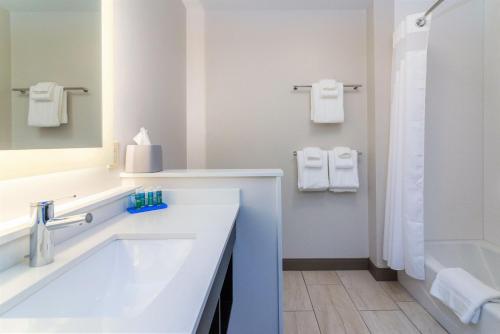 a white bathroom with a sink and a tub at Holiday Inn Express & Suites Allen Park, an IHG Hotel in Allen Park