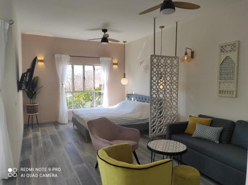 uma sala de estar com uma cama e um sofá em Bar suite em Ein Gedi