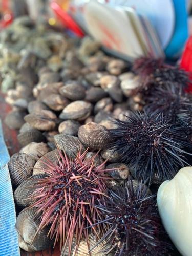a pile of chestnuts and otherthings on a table at MODERN SPACIOUS BEACH FRONT CENTRAL CONDO w POOLS STEPS TO BEACH in Rosarito