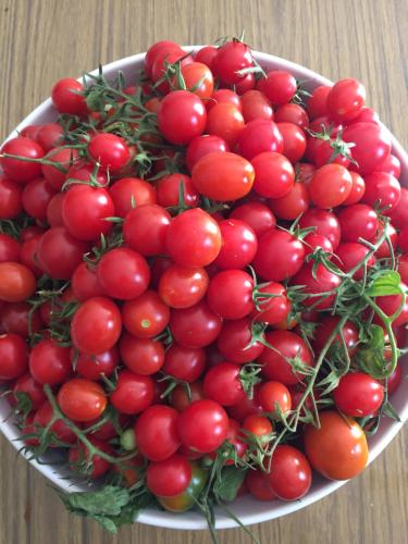 a bowl of red tomatoes on a wooden table at Agriturismo Pranu in Sorgono