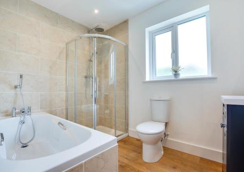 ein Bad mit einer Badewanne, einem WC und einem Fenster in der Unterkunft Tyisaf in Llanfynydd