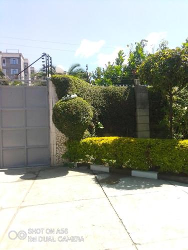 a hedge sitting on the side of a building at BERNKISH HOMES in Nakuru