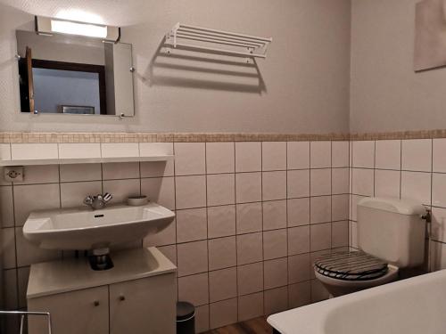 uma casa de banho com um lavatório, um WC e um espelho. em Appartement Notre-Dame-de-Bellecombe, 1 pièce, 3 personnes - FR-1-595-18 em Notre-Dame-de-Bellecombe