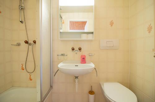 ein Bad mit einem Waschbecken, einem WC und einer Dusche in der Unterkunft Miraflor Carmen - Arosa Holiday in Arosa