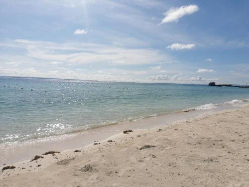 a beach with a group of birds in the water at Chef Panyang Beach Resort Okoy in Ocoy