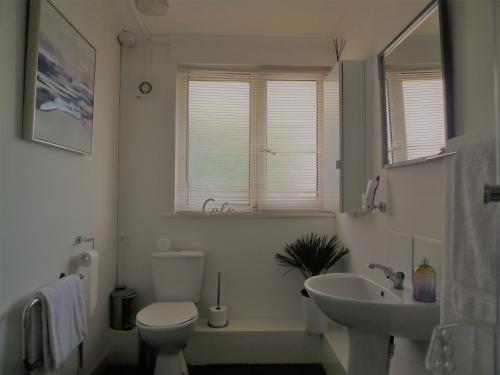 a bathroom with a toilet and a sink and a window at Whole Apartment with Balcony Breakfast & Parking in Bishop Auckland