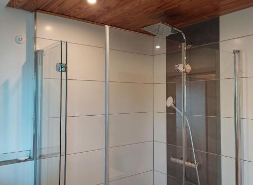 een douche met een glazen deur in de badkamer bij Ferienwohnung Reinbold in Durbach