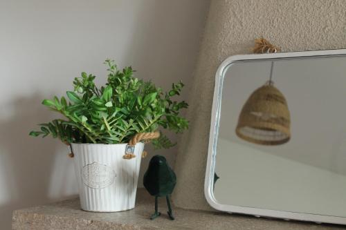 a plant in a white vase next to a mirror at Altos de Baiona in Baiona