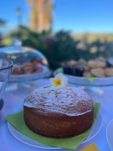a chocolate cake with a flower on top on a table at La Pomelia B&b Sofia in Trappitello