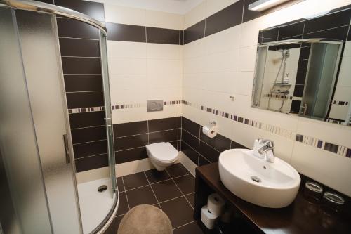 a bathroom with a sink and a shower and a toilet at Apartmany 21 Třeboň in Třeboň