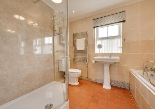 a bathroom with a toilet and a sink and a shower at Ynys Pandy in Llanfihangel-y-pennant