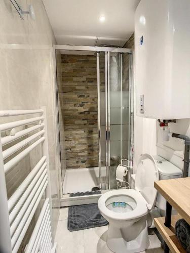 une salle de bain avec toilettes et douche dans l'établissement GRAND STUDIO AMIENS GARE TOUT CONFORT WIFI NETFLIX 2PERS, à Amiens