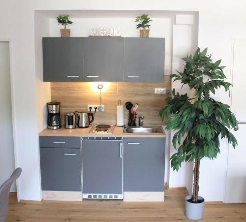 a small kitchen with a sink and a potted plant at Ferienwohnung-Sonnenblick-Willingen in Willingen