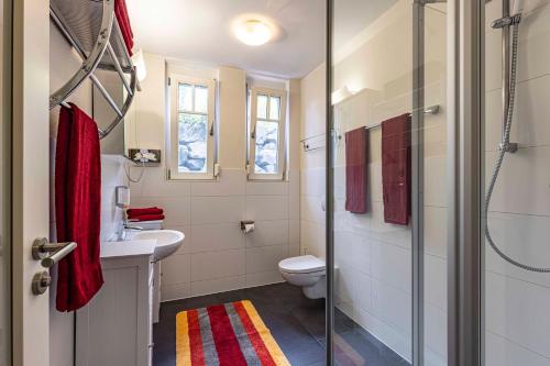 a bathroom with a toilet and a sink and a shower at Villa Scandic Apartments in Rust
