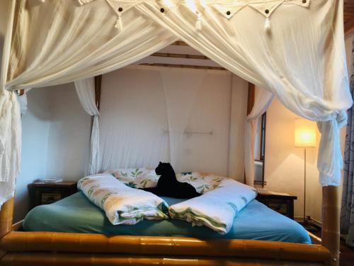a black cat laying on a bed under a canopy at Familienapartments mit Balkon oder Terrasse und Garten in Ober-Lembach