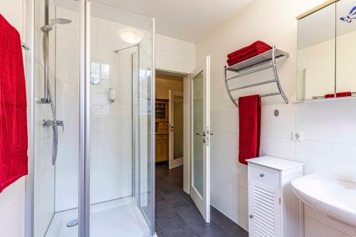 a bathroom with a shower and a sink at Villa Scandic Apartments in Rust