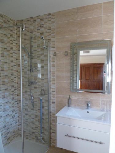 une salle de bain avec une douche, un lavabo et un miroir dans l'établissement Le Mont d'Olivine, à Utelle