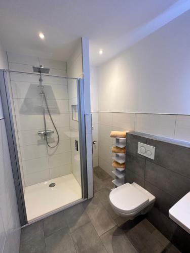 a bathroom with a shower and a toilet at Ferienwohnung Hardo in Alt Schwerin