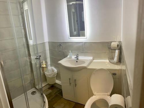 a bathroom with a toilet and a sink and a shower at The Riverside inn in Saltford