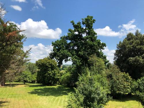 Château Fauchey – Photos 5