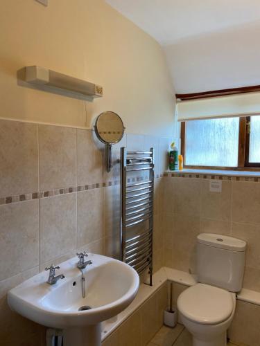 a bathroom with a sink and a toilet at Tupenny Cottage, Old Mill Farm, Cotswold Water Park in Cirencester