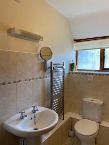 a bathroom with a sink and a toilet at Tupenny Cottage, Old Mill Farm, Cotswold Water Park in Cirencester