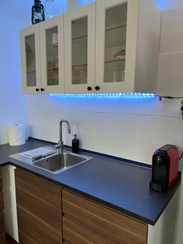 Dapur atau dapur kecil di Bogács Hilóczki Vendégház