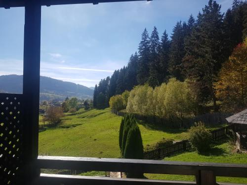 a view of a green field from a window at Bucovina Lodge Pension in Vama