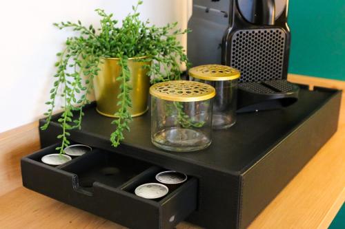 a black box with three plants in it at Alex & Rine - Pension Zum Alten Strom in Warnemünde