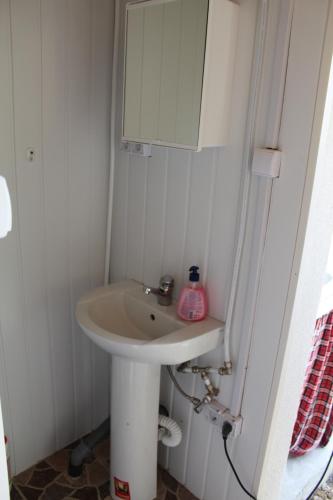 La salle de bains est pourvue d'un lavabo et d'un miroir. dans l'établissement Kemping pod figą, à Granichar