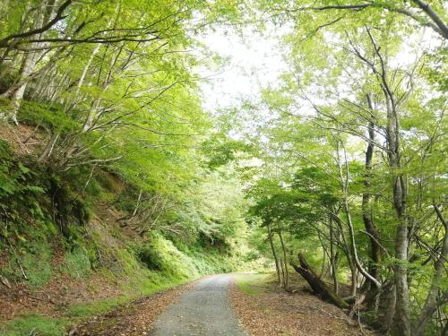 Un paisaje natural cerca de la casa de huéspedes