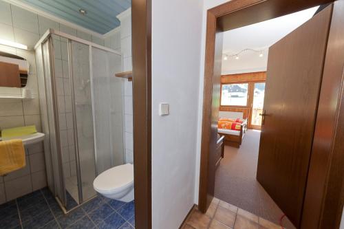 een badkamer met een toilet en een wastafel bij Zirbenhof in Innerkrems