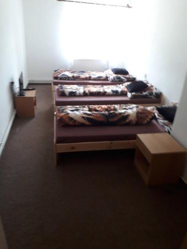 sypialnia z 3 łóżkami w pokoju w obiekcie Sokolovna Markoušovice - u Trutnov Trails w mieście Velké Svatoňovice