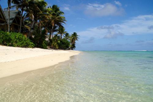 a beach with palm trees and the ocean at Whitesands Beach Villas in Rarotonga