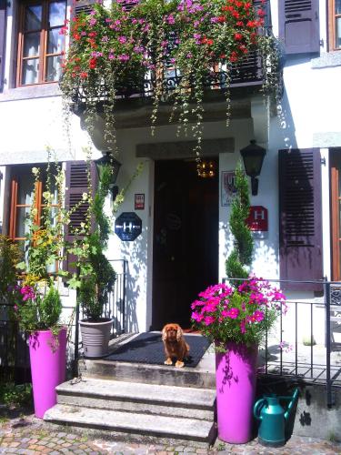 Hotel Du Clocher photo 32