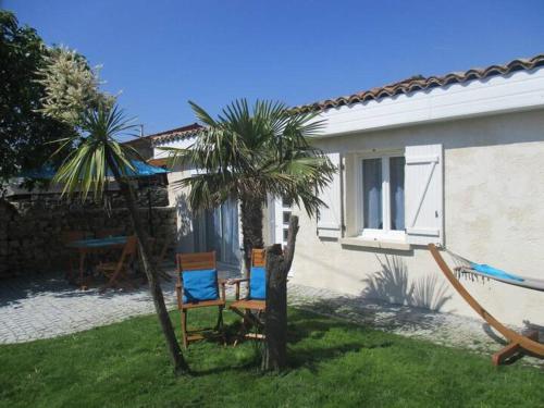 un patio con 2 sillas y una palmera en La p'tite maison du Chateau, en Éclassan