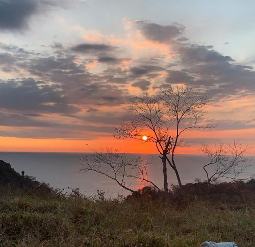 a sunset over the water with a tree at Cabinas Chazu #2 in Quepos