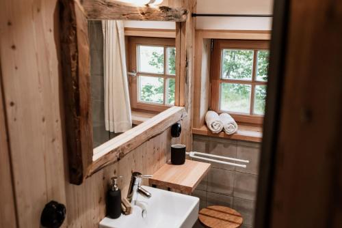 a bathroom with a sink and a mirror at Haslauer Hüttn in Frasdorf