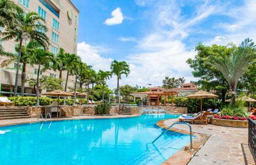 a pool at a resort with palm trees at InterContinental Costa Rica at Multiplaza Mall by IHG in San José